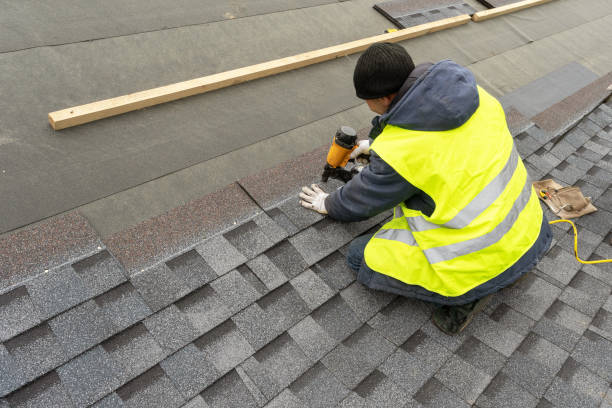 Roof Gutter Cleaning in Bloomingdale, FL